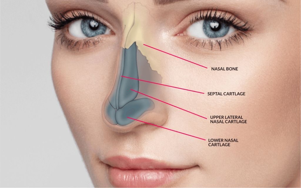 What Is Rhinoplasty?