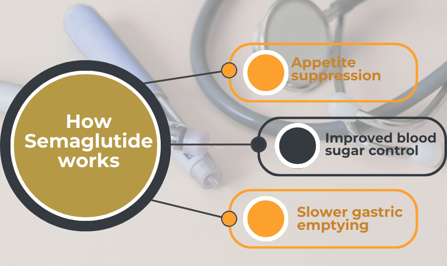 How Semaglutide works