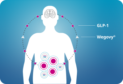 Understanding Obesity and Wegovy