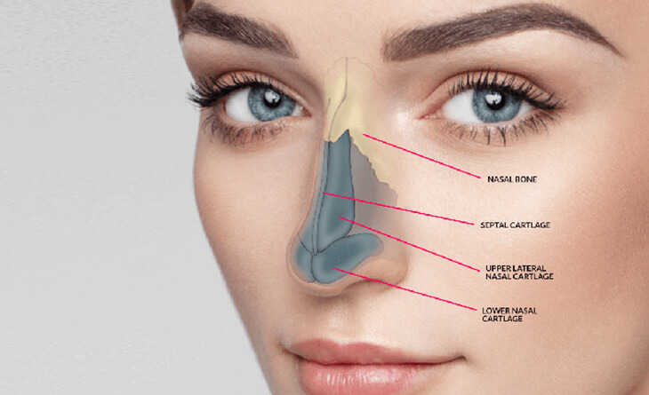 The Rhinoplasty Surgery Procedure